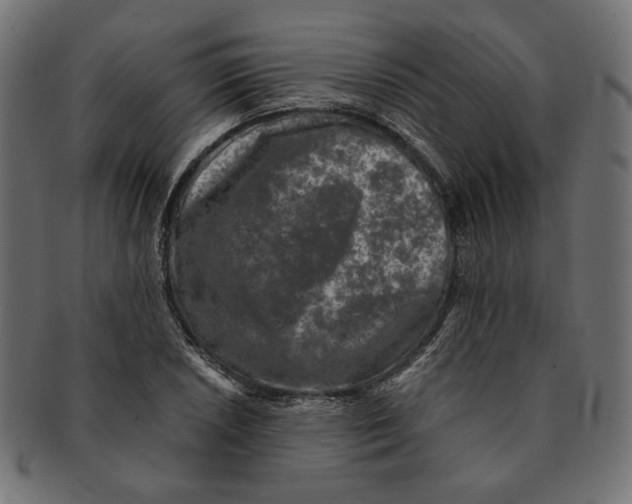 X0000091221026200709061455