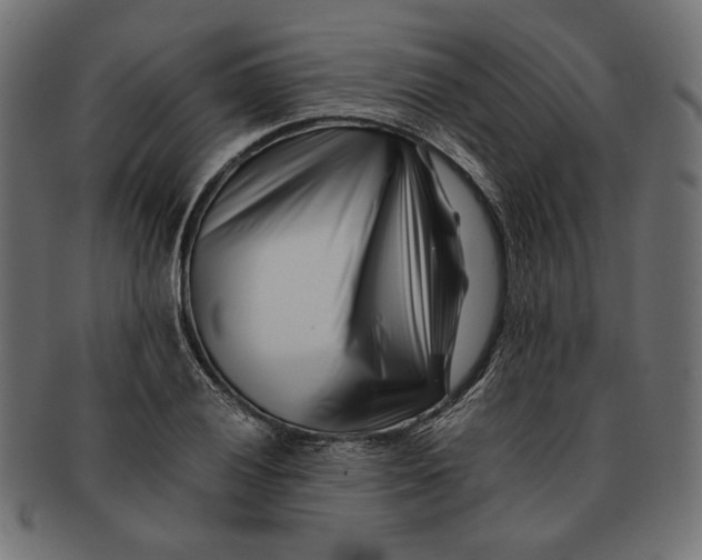 X0000091221028200709061455