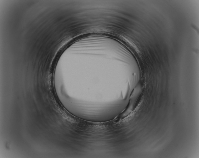 X0000091221029200709061455