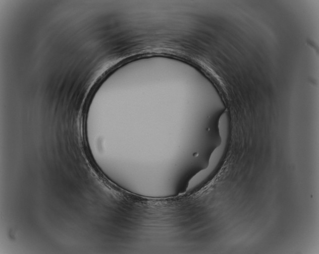 X0000091221032200709061455