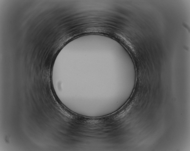 X0000091221033200709061455