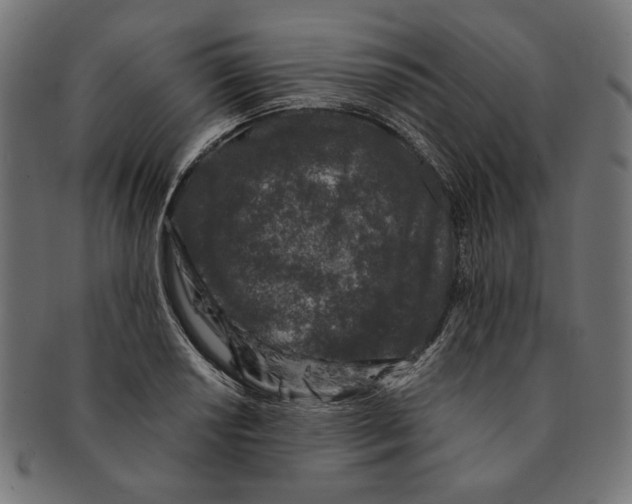 X0000091221034200709061455