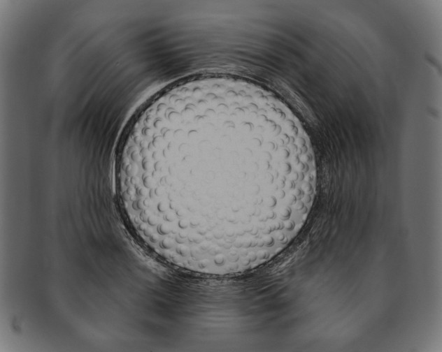 X0000091221036200709061455