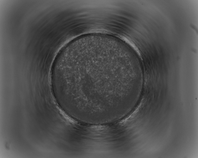 X0000091221037200709061455