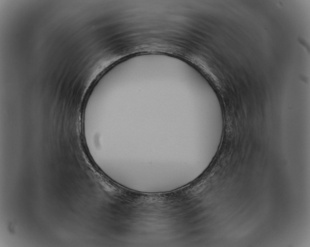 X0000091221040200709061456