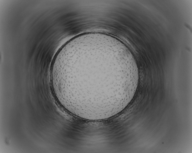 X0000091221044200709061456