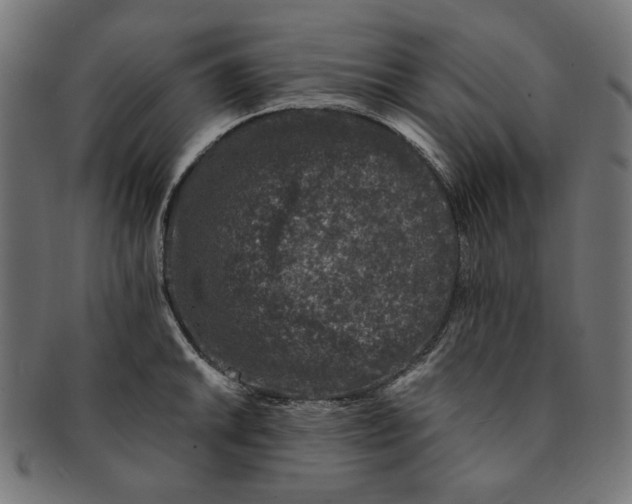 X0000091221046200709061456