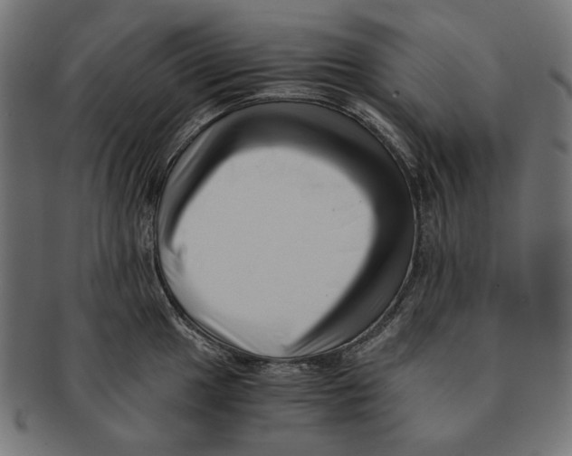 X0000091221049200709061456