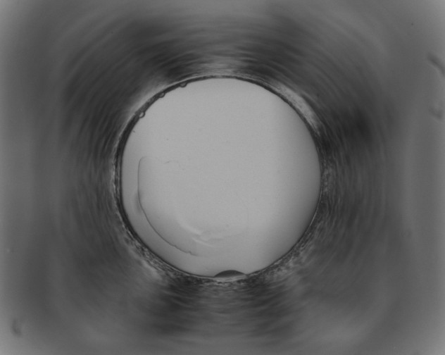 X0000091221051200709061456