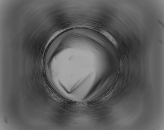 X0000091221052200709061456