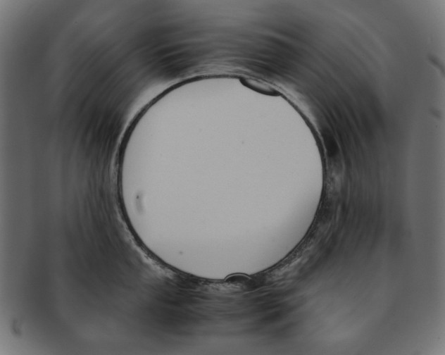 X0000091221053200709061456