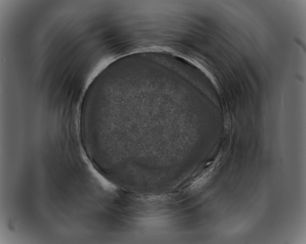 X0000091221054200709061456