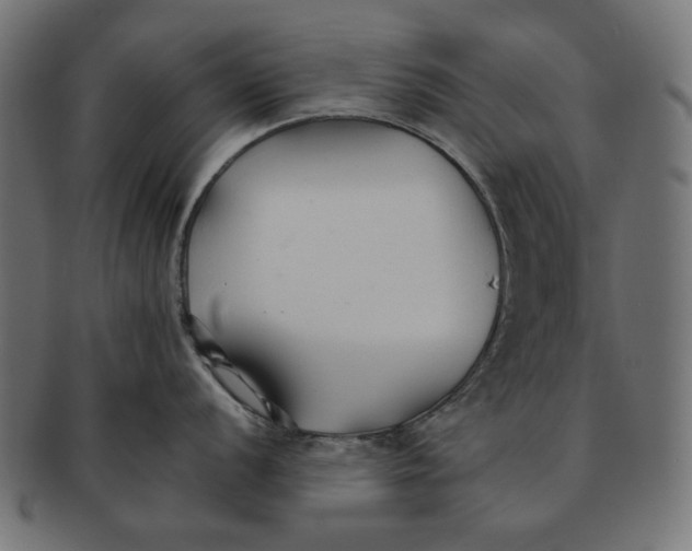 X0000091221056200709061456