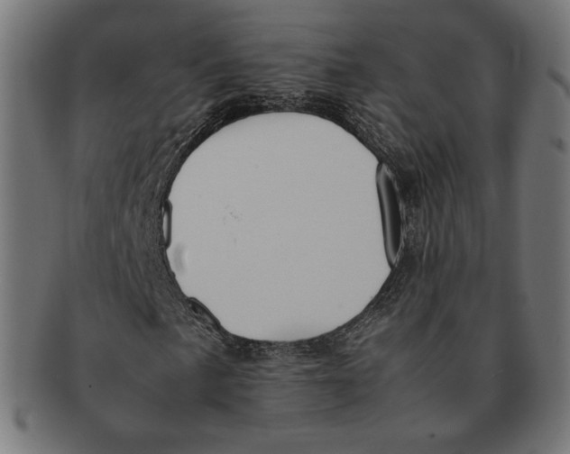 X0000091221057200709061455