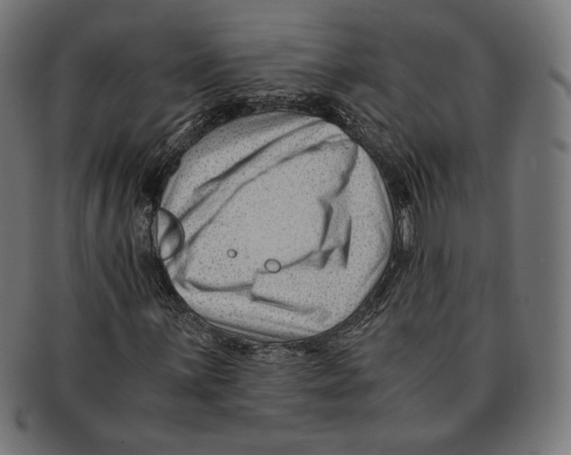 X0000091221059200709061455