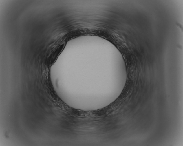 X0000091221061200709061455