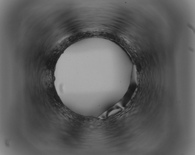 X0000091221062200709061455