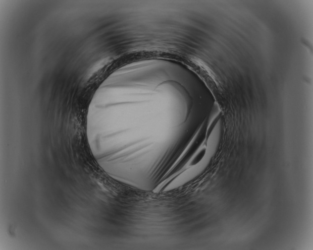 X0000091221064200709061455