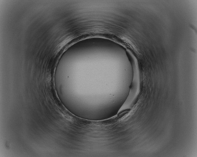 X0000091221065200709061455