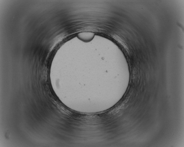 X0000091221067200709061455