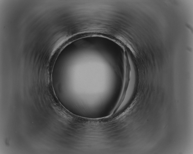 X0000091221069200709061455