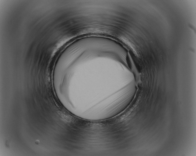 X0000091221070200709061455