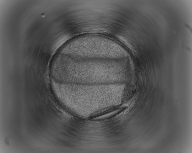 X0000091221071200709061455