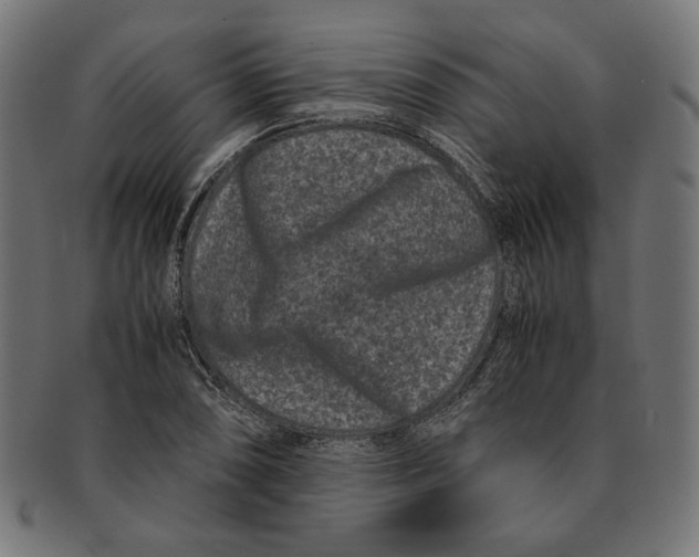 X0000091221074200709061455