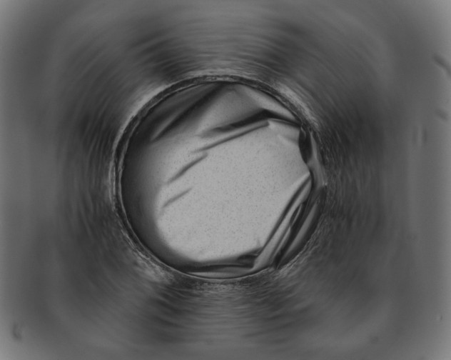 X0000091221076200709061455