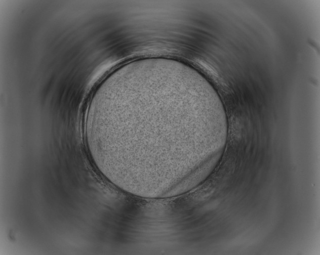 X0000091221078200709061455