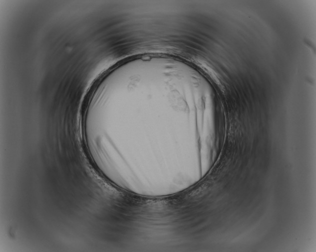 X0000091221080200709061455