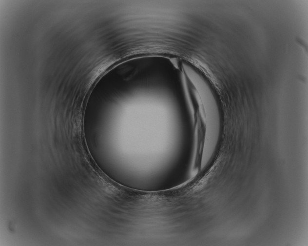 X0000091221081200709061455