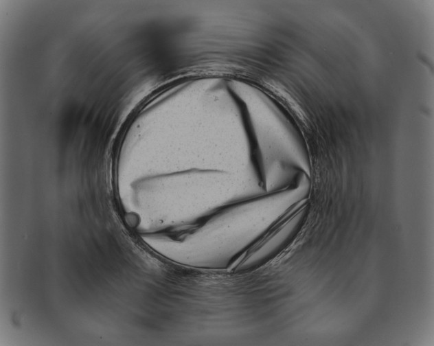 X0000091221083200709061455