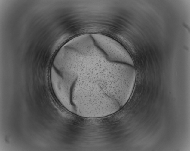 X0000091221086200709061455