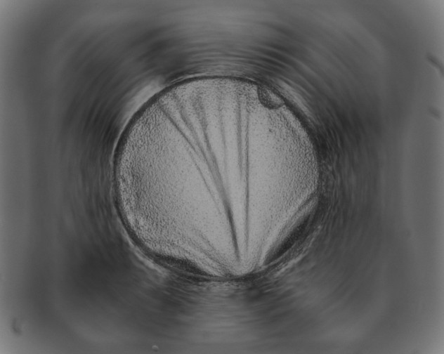 X0000091221087200709061455