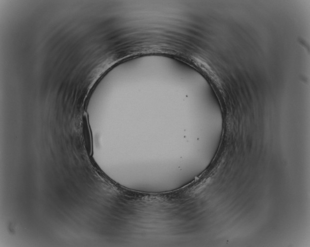 X0000091221089200709061455