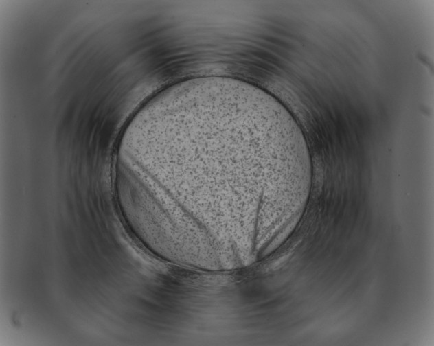 X0000091221090200709061455