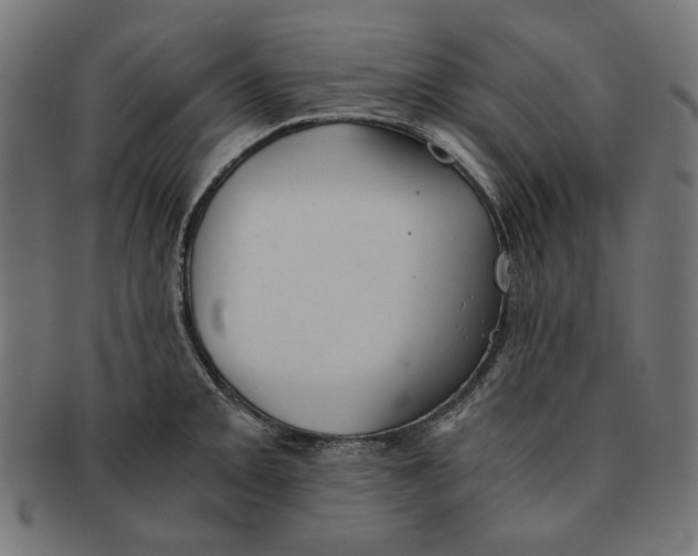 X0000091221093200709061455