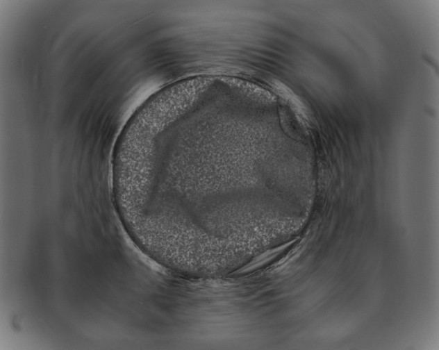 X0000091221095200709061455