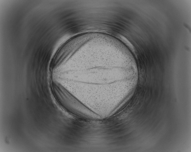 X0000091221096200709061454