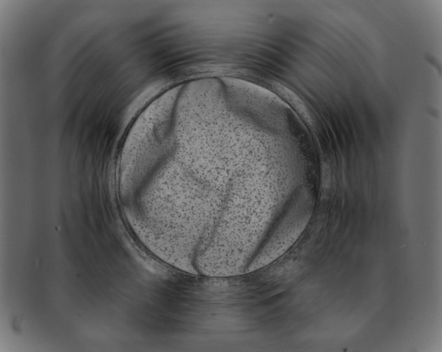 X0000091221098200709061454