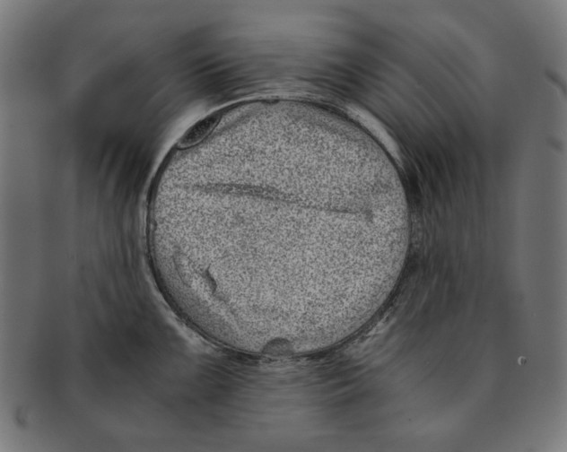 X0000091221099200709061454