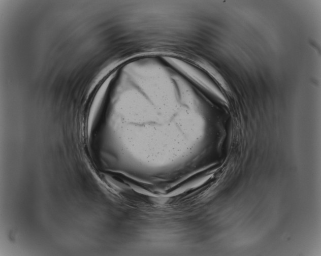 X0000091221101200709061454