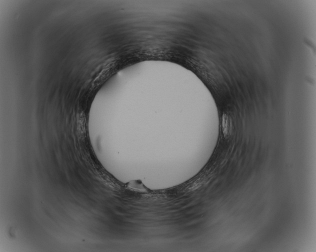 X0000091221107200709061454