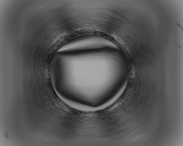 X0000091221110200709061454