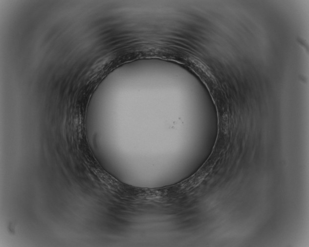 X0000091221111200709061454