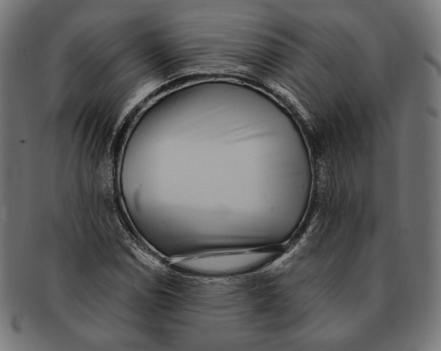 X0000091221114200709061454