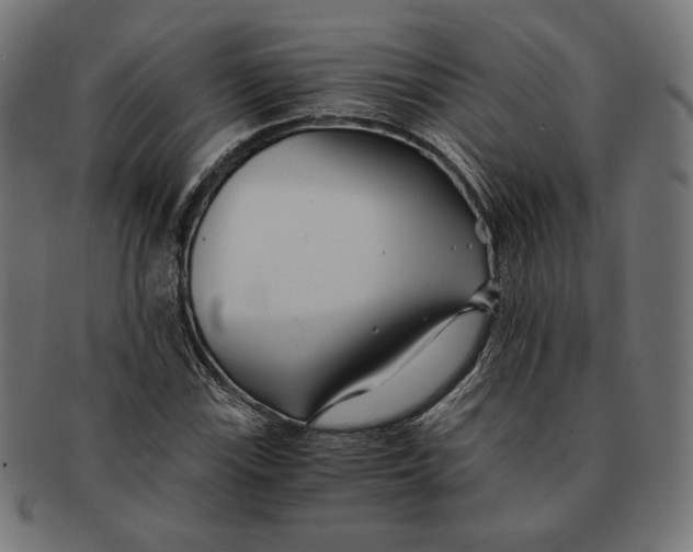 X0000091221115200709061454