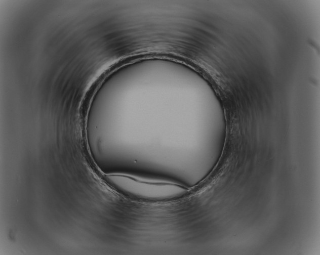 X0000091221118200709061454