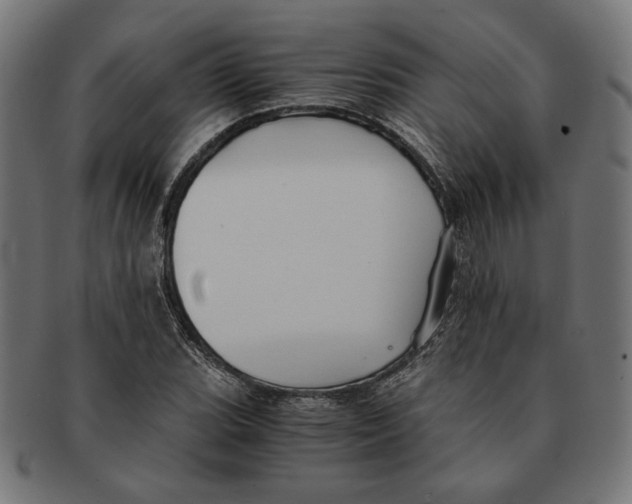 X0000091221119200709061454